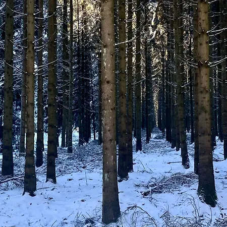 The Woods With Hottub & Airco * La-Roche-en-Ardenne