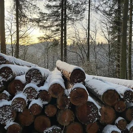 The Woods With Hottub & Airco La-Roche-en-Ardenne