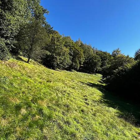 The Woods With Hottub & Airco * La-Roche-en-Ardenne