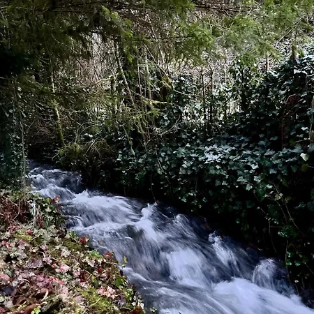 The Woods With Hottub & Airco Chalet La-Roche-en-Ardenne