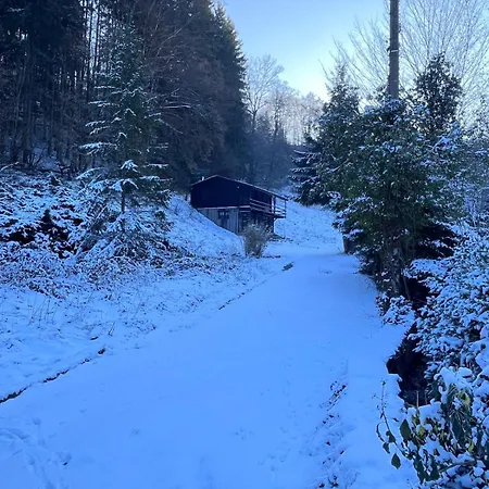 The Woods With Hottub & Airco Chalet *