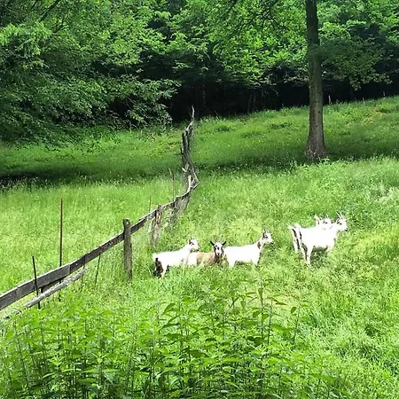 The Woods With Hottub & Airco * La-Roche-en-Ardenne
